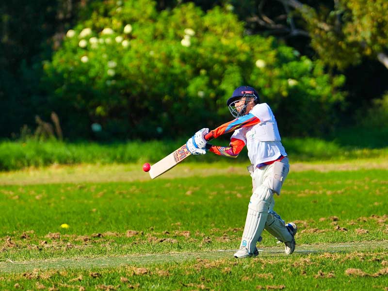 NSW Sports Multicultural Association