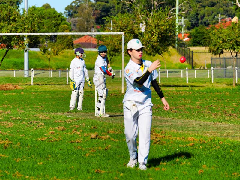 NSW Sports Multicultural Association