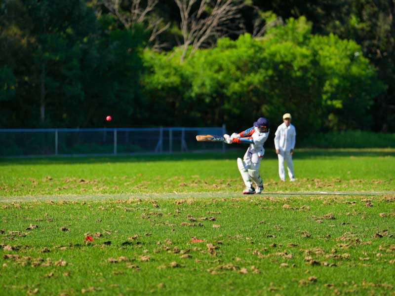 NSW Sports Multicultural Association